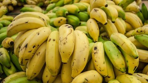 A large pile of ripe yellow and green bananas