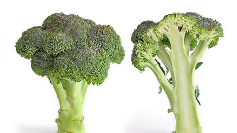 Two broccoli florets, one whole and one cut lengthways