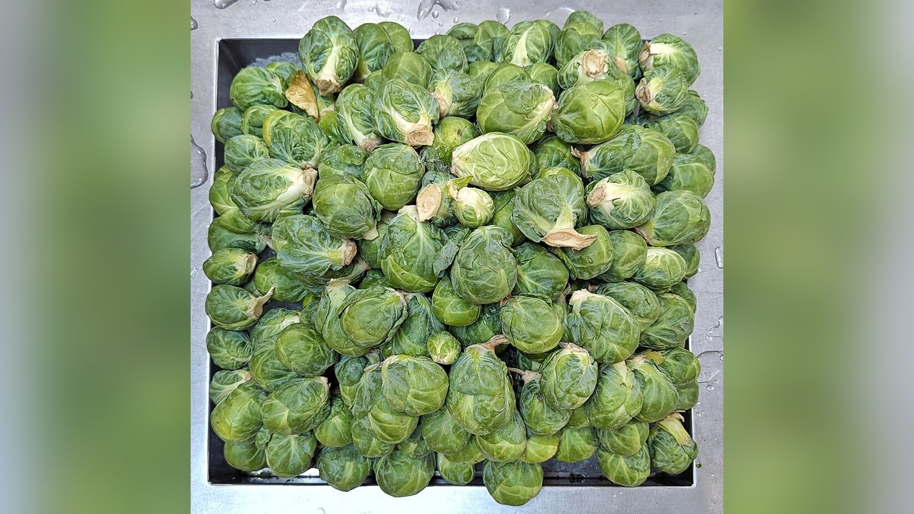 A crate full of Brussels sprouts