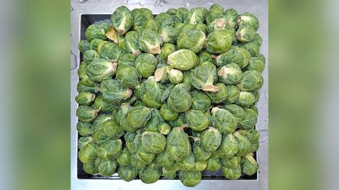 A crate full of Brussels sprouts