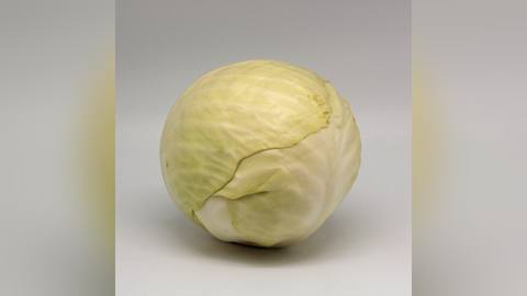 A whole white cabbage head