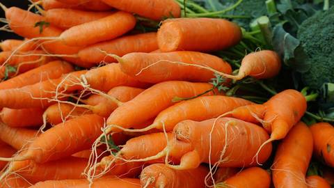 A pile of fresh orange carrots with their root tips