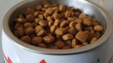 Dry cat food kibble in a metal bowl with a cat pattern