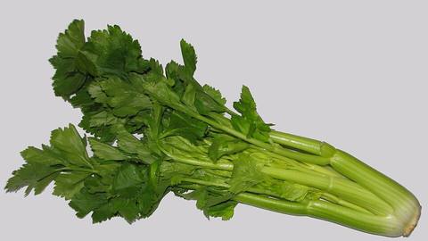 A bunch of celery stalks with leaves