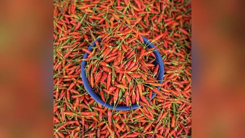 A bowl of small red chili peppers