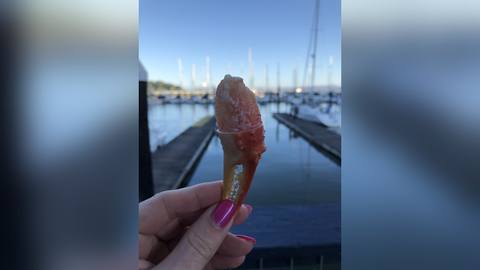 A cooked crab claw held in a hand with a marina in the background