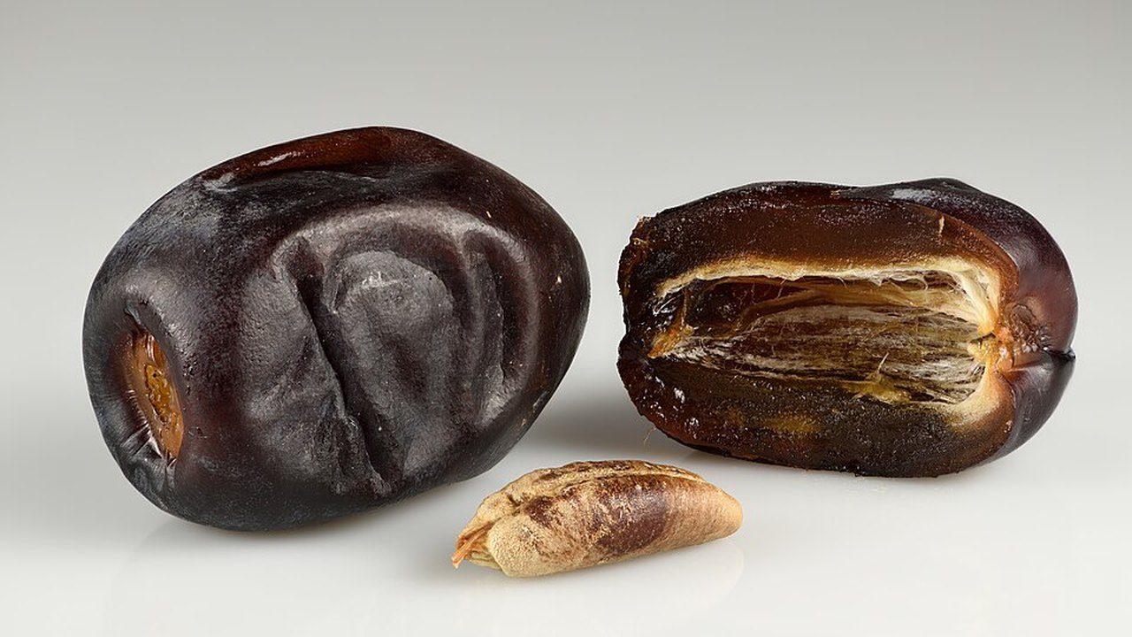 Two dark dates, one cut open to show the stone, with the stone beside them