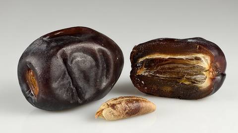 Two dark dates, one cut open to show the stone, with the stone beside them