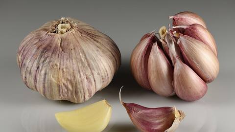 Whole garlic bulbs with a loose clove in front
