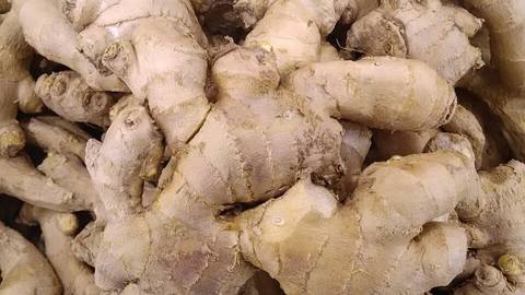 A pile of fresh ginger roots