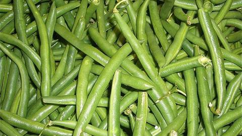A heap of fresh green beans