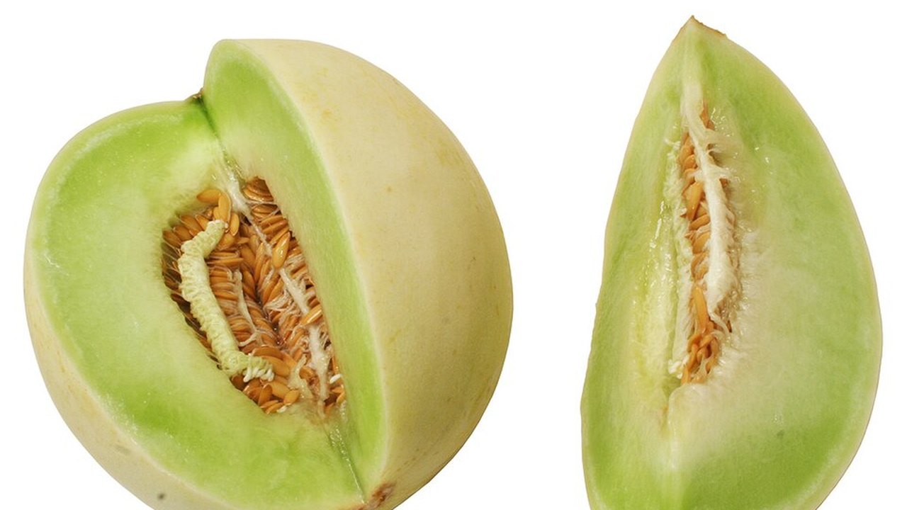 A halved honeydew melon showing the seeds