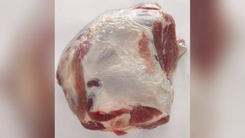 A raw joint of lamb with white fat