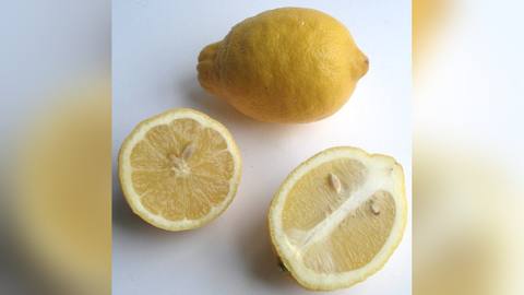 Whole and halved lemons