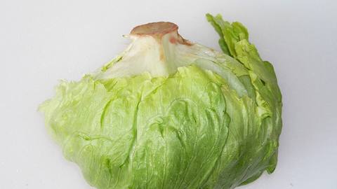 A head of iceberg lettuce