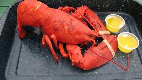A cooked red lobster on a black tray with two small pots of butter