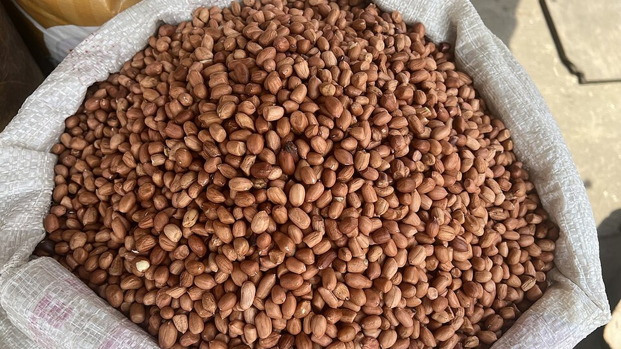 A sack of unshelled peanuts