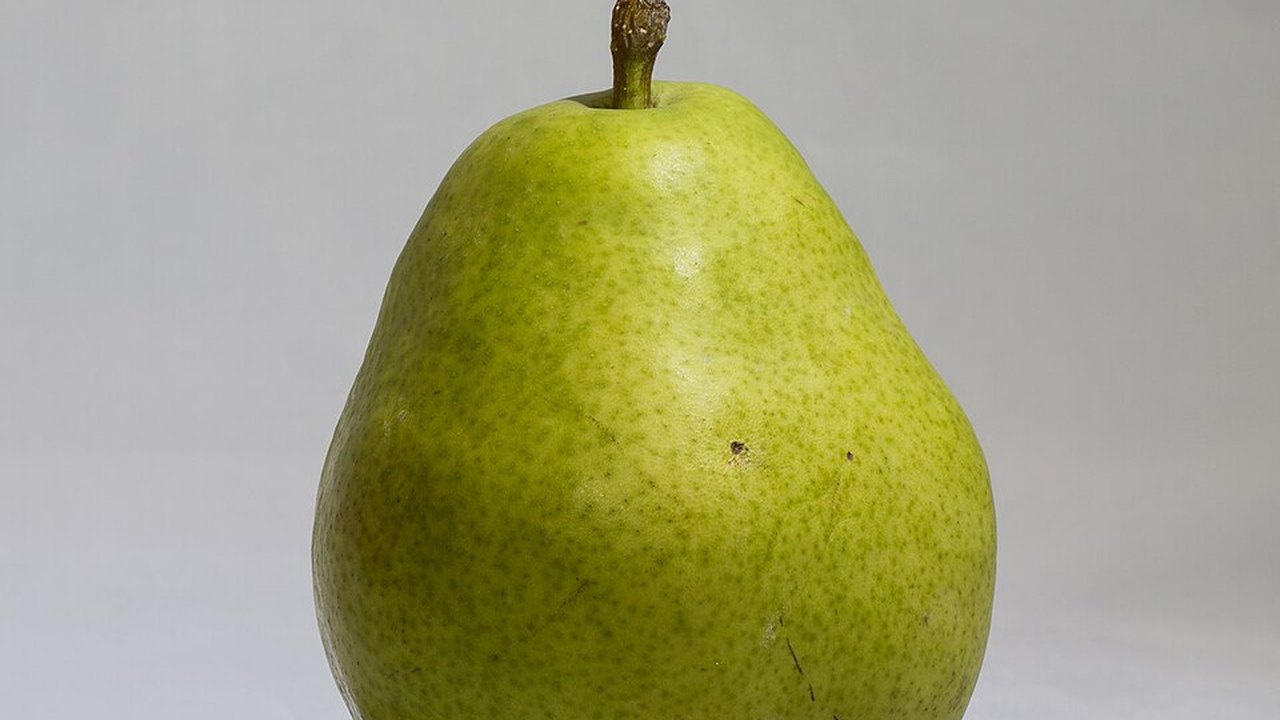 A single green pear on a plain background