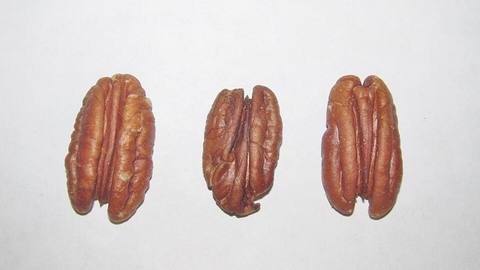 Three pecan nuts on a white background