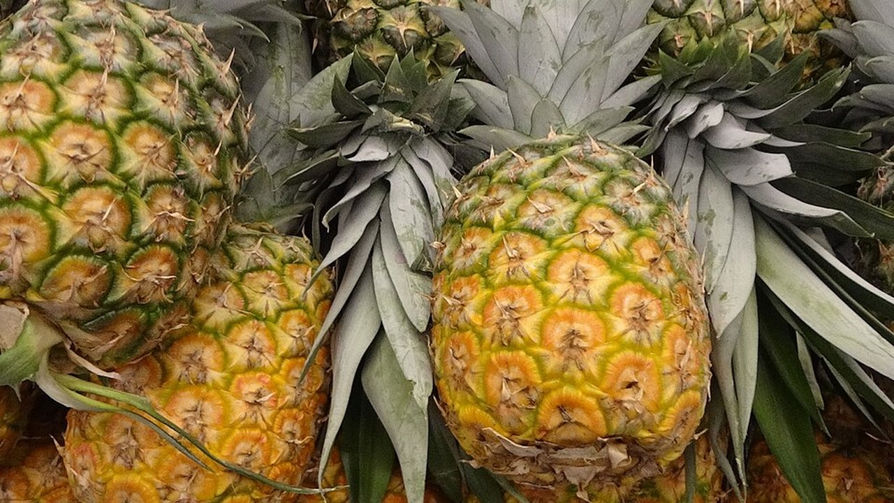 Whole pineapples with their leafy tops at a market