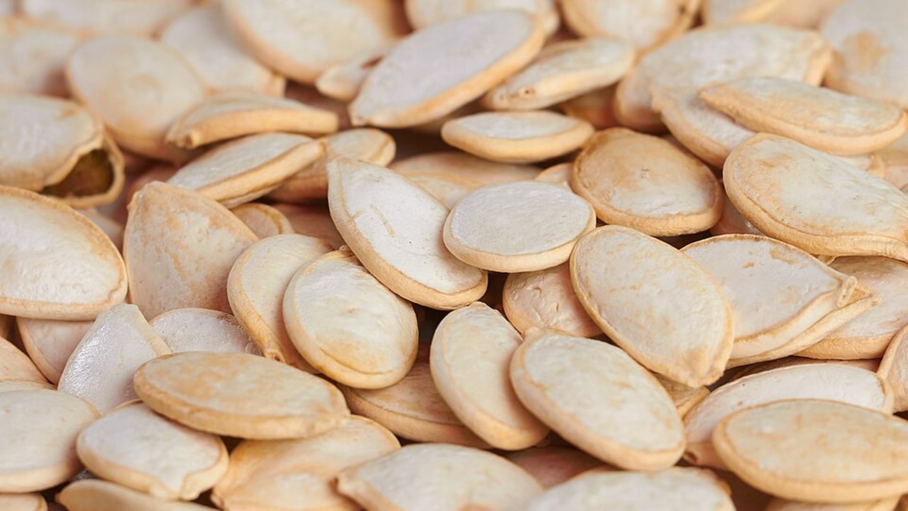 A heap of pumpkin seeds