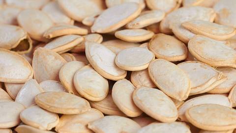 A heap of pumpkin seeds