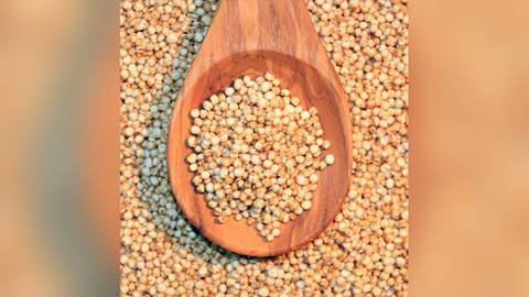 Quinoa grains on a wooden spoon with dark lentils around it
