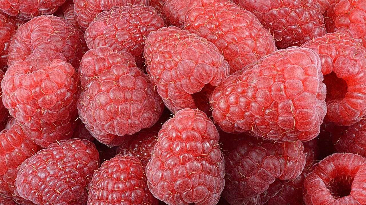 A close-up of fresh raspberries