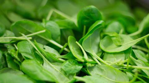 A pile of fresh spinach leaves