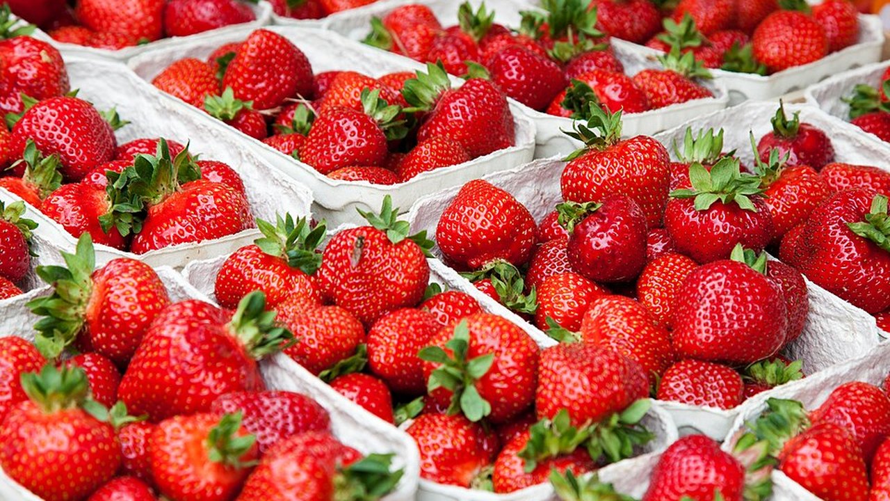 Punnets of fresh strawberries at a market