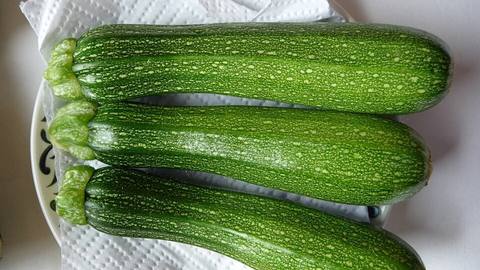 Three zucchini lying on a plate
