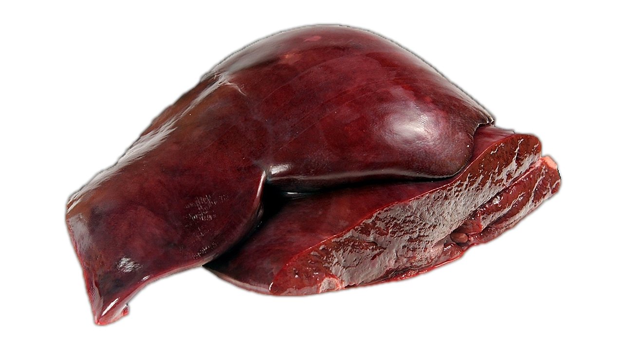A piece of raw liver on a white background