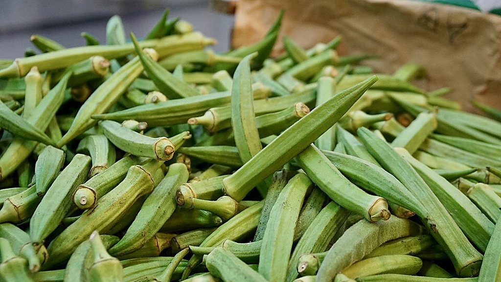 A pile of fresh okra pods