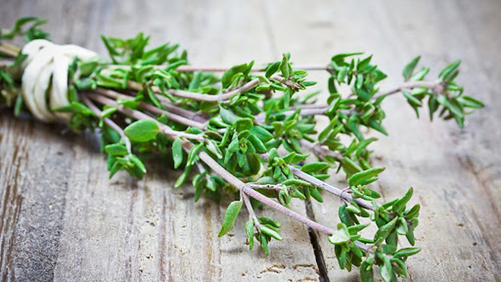A tied bunch of fresh thyme on a weathered wooden table
